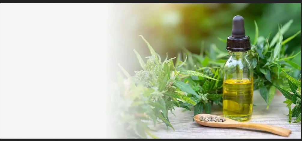 Tout savoir sur le CBD ou Cannabidiol